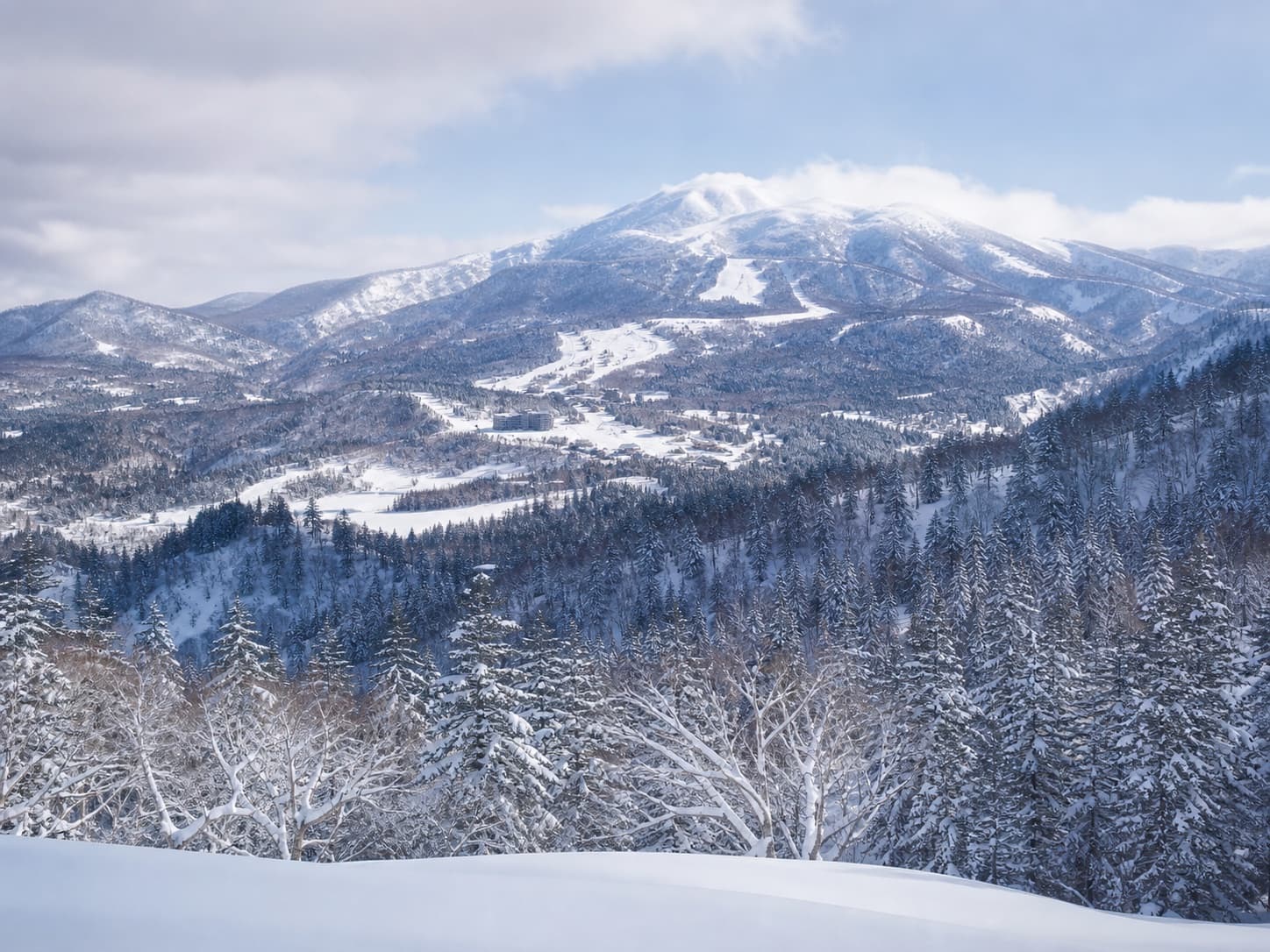 Snow-covered mountain valley and evergreen forest